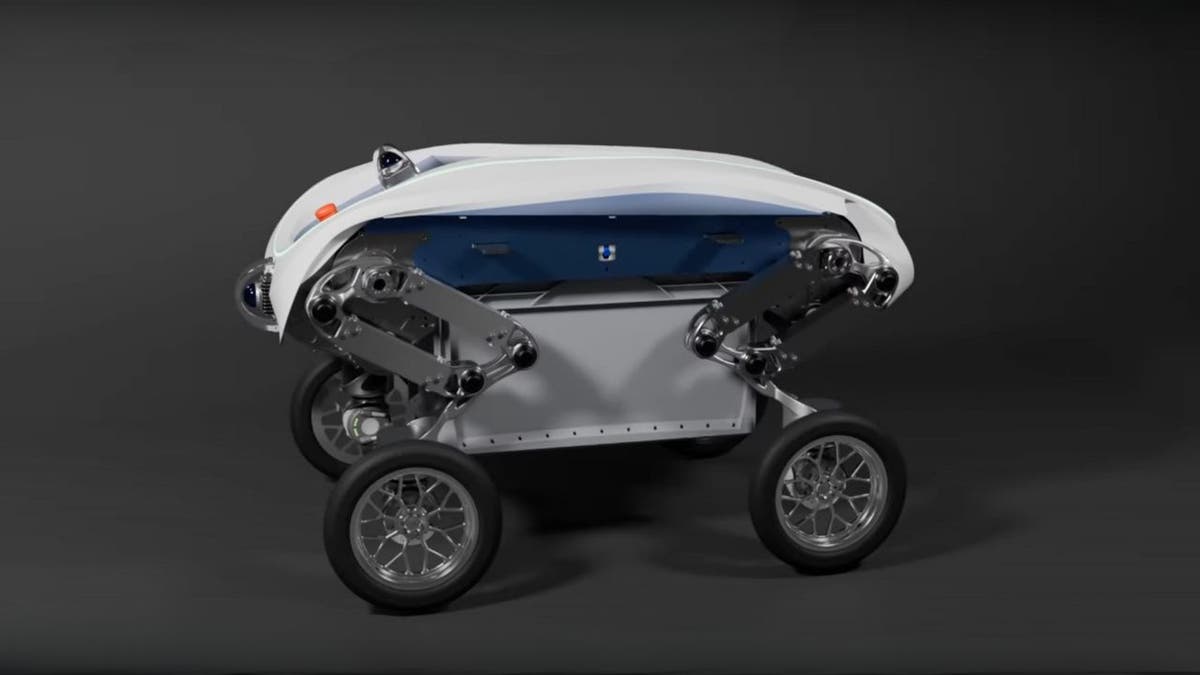 Delivery robot rises autonomously, transports heavy load