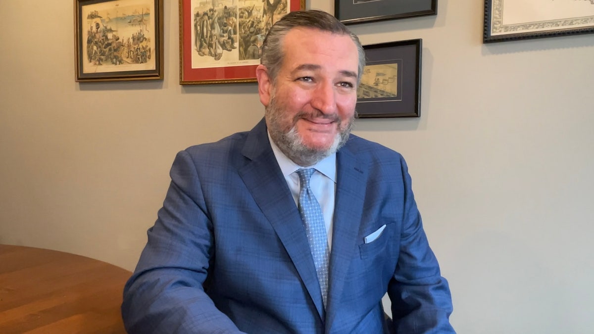 Conservative warrior Ted Cruz highlights its bipartisan costs while addressing the Senate re -election
