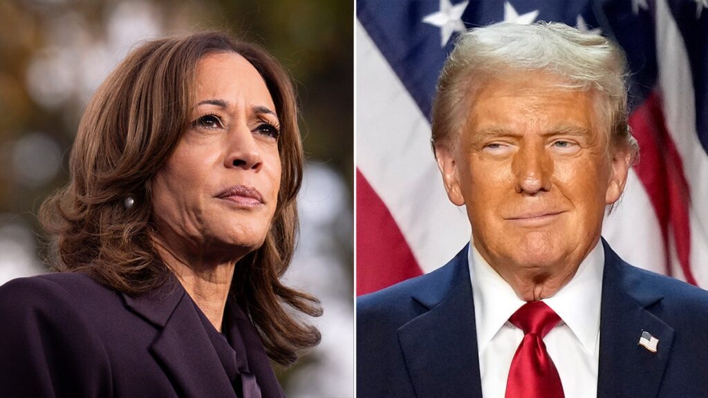 DEMS falls $ 20 million in the study of the Strange American "American men" plan