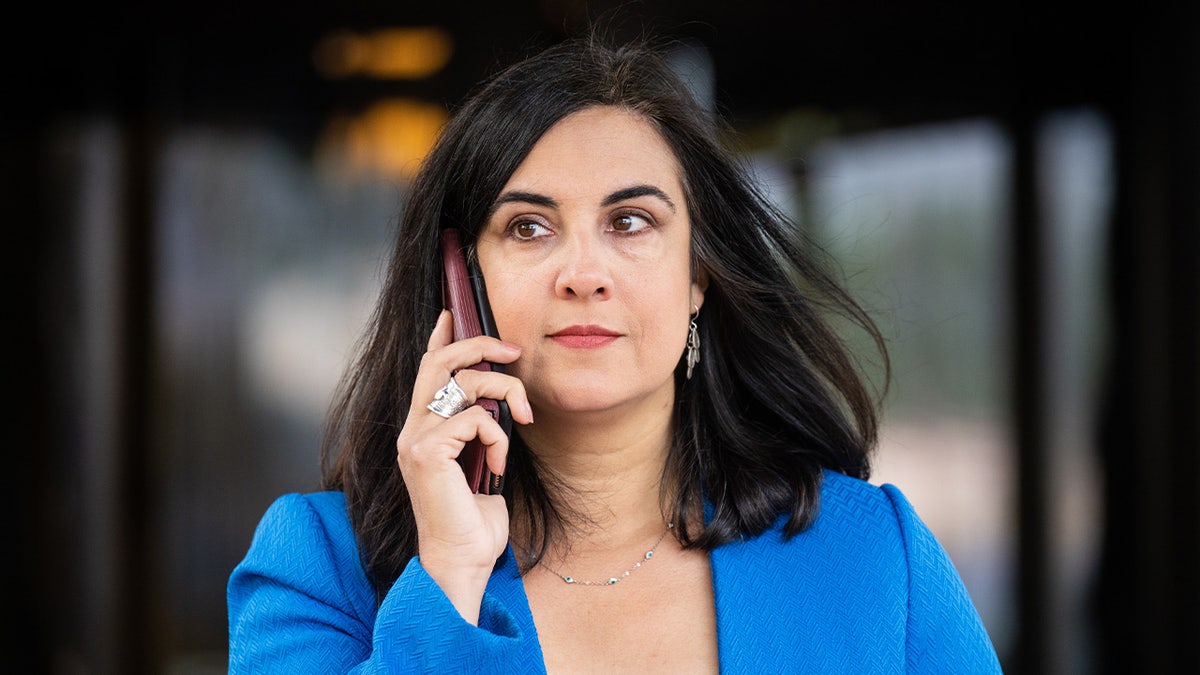 Rece. Nicole Malliotakis