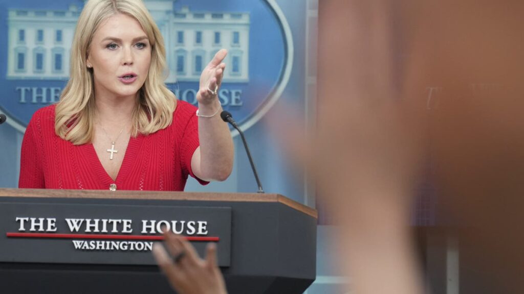 Jill Biden should have to respond to “cover” from former president's fall according to white house