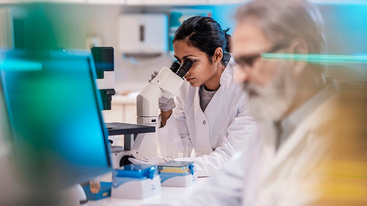 Female scientist who works in the laboratory
