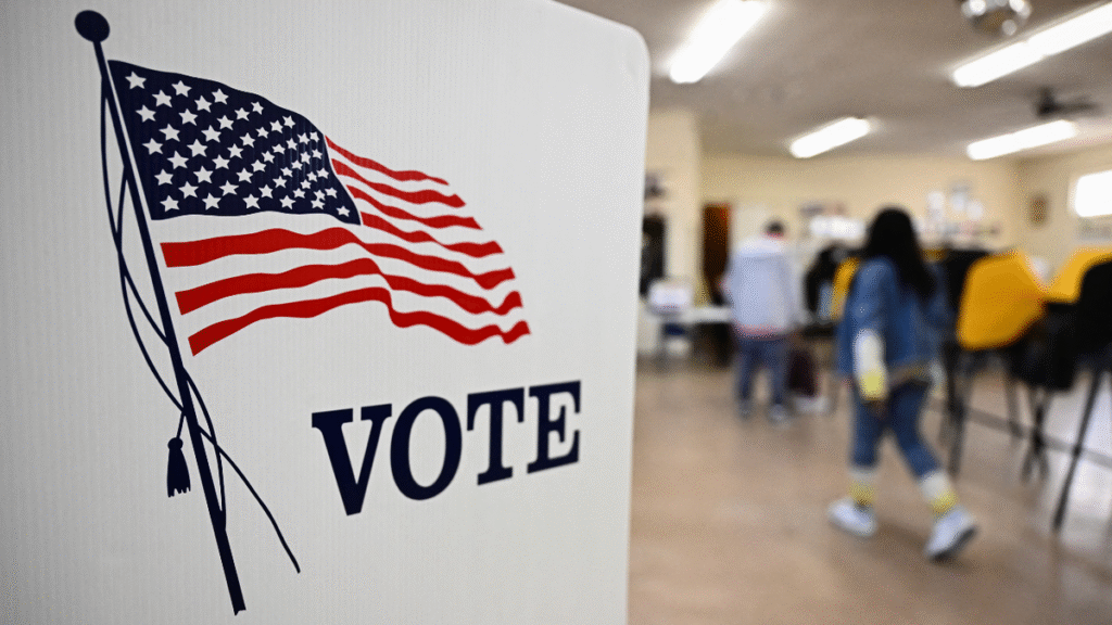 Electoral Investigation discovers alleged illegal voting by non -citizens and double voters in various states