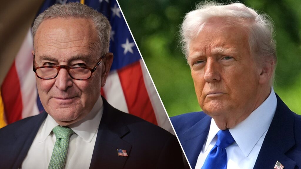 Schumer, Democrats fulfill the coordinated resistance to Trump's "ugly law"